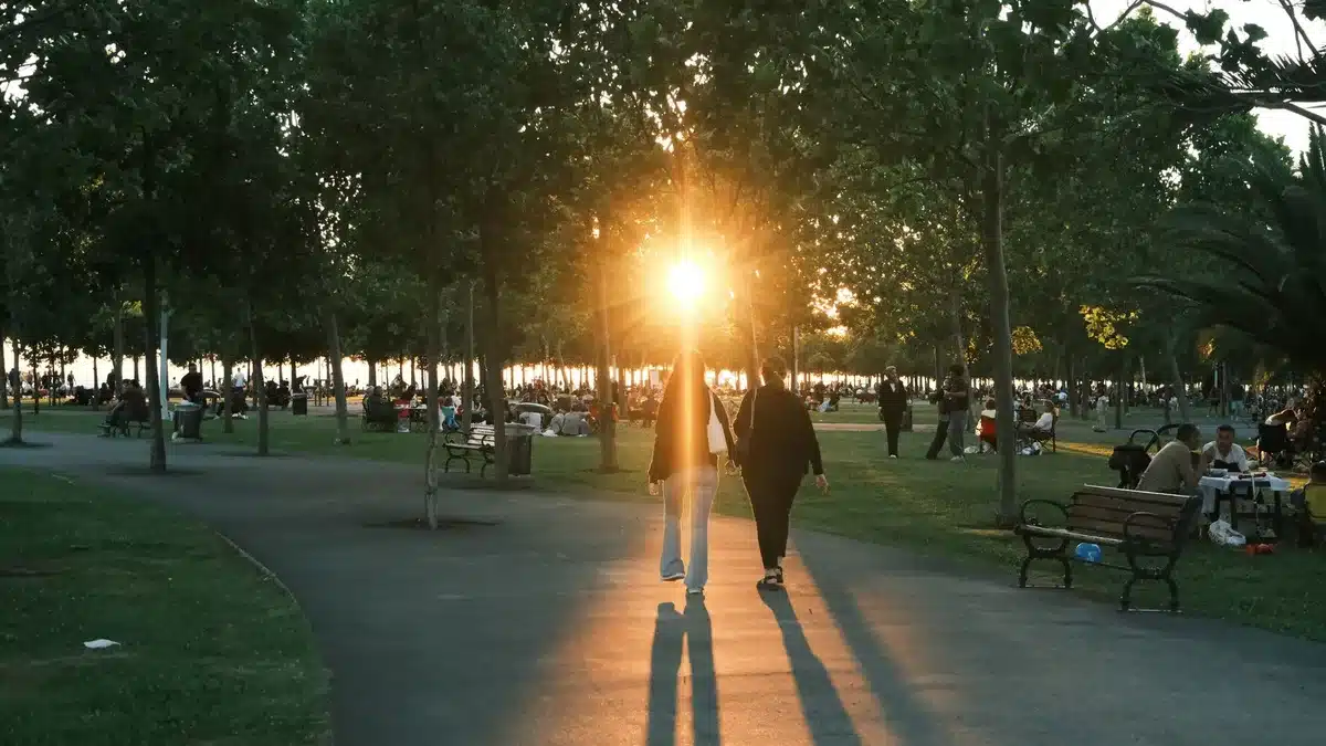 Group of friends raising glasses in a reunion toast by a lake at sunset