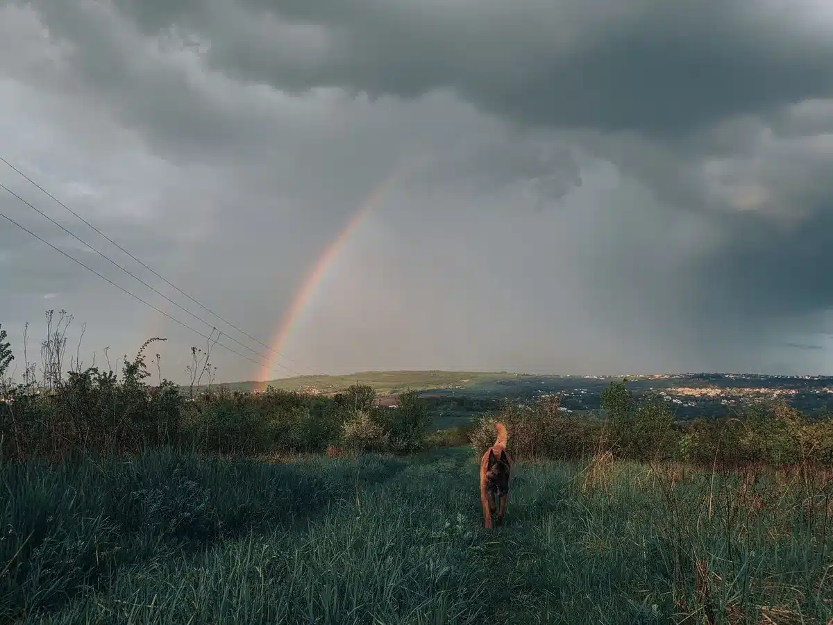 A person walking through a field beneath a rainbow