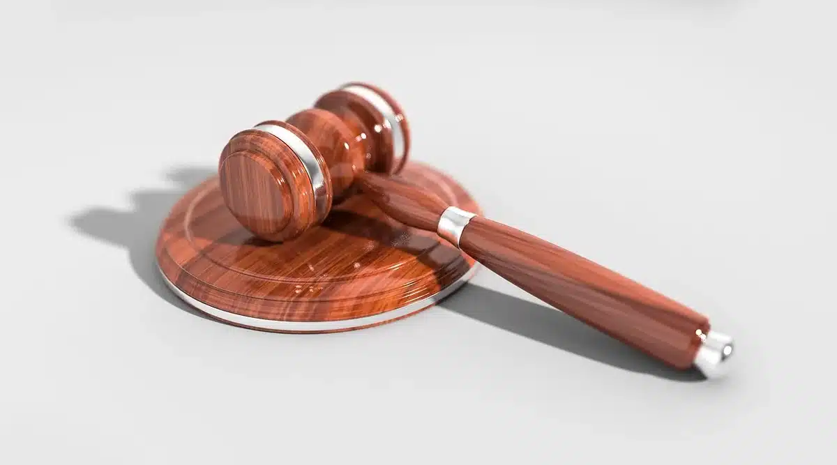 Auctioneer's gavel and bidding paddles at a collectibles auction