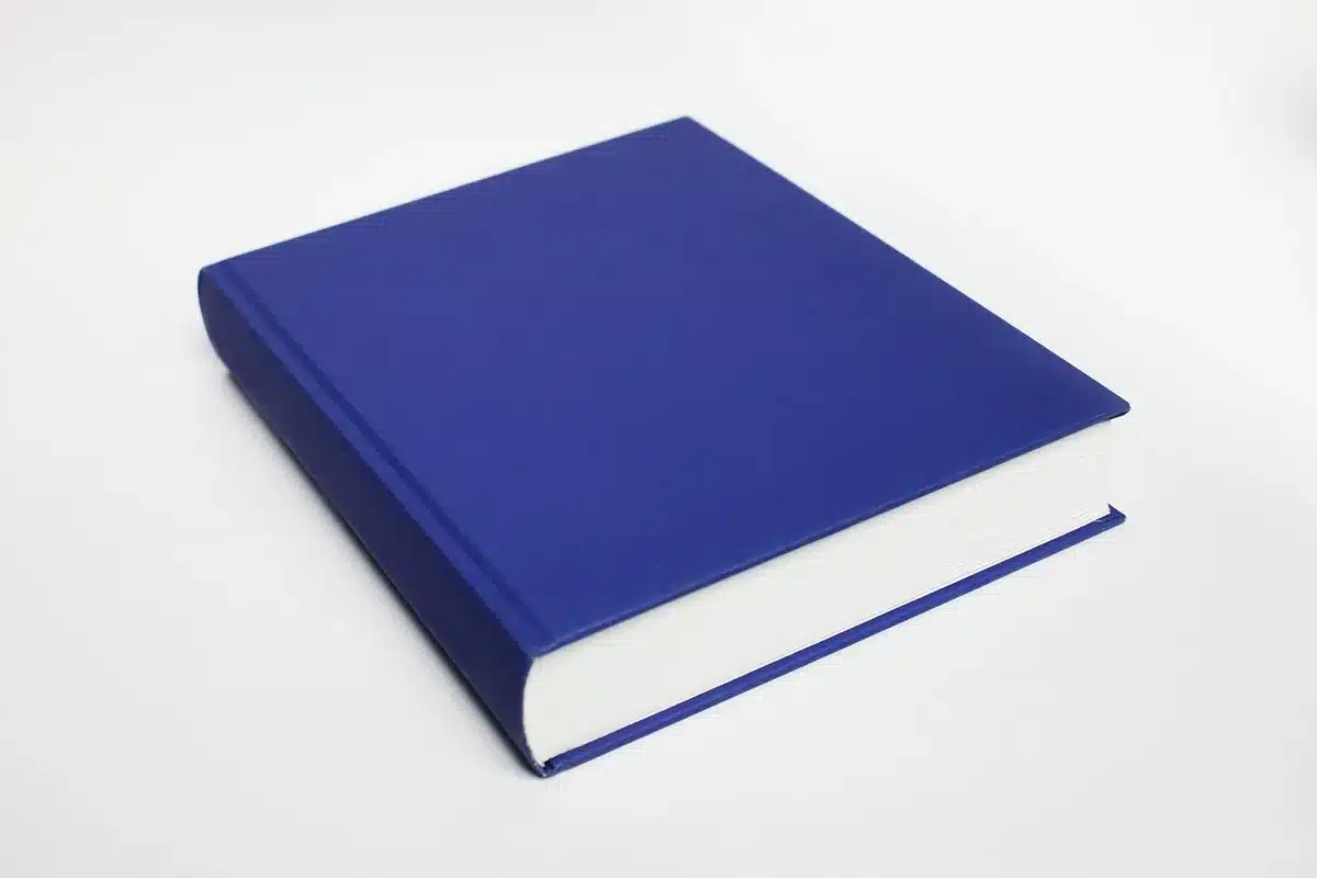 Cover-like image suggesting a crossover between a retro indie character and a modern heroine