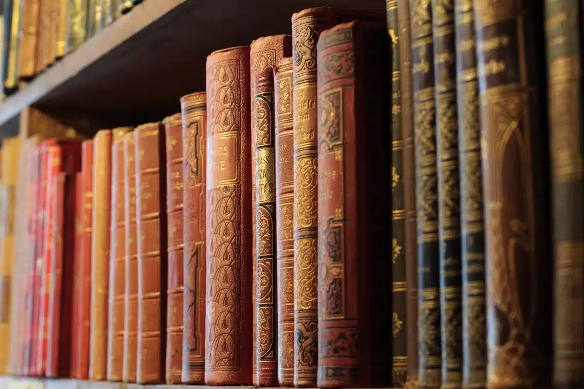Shelved indie comic issues fanned on a shelf