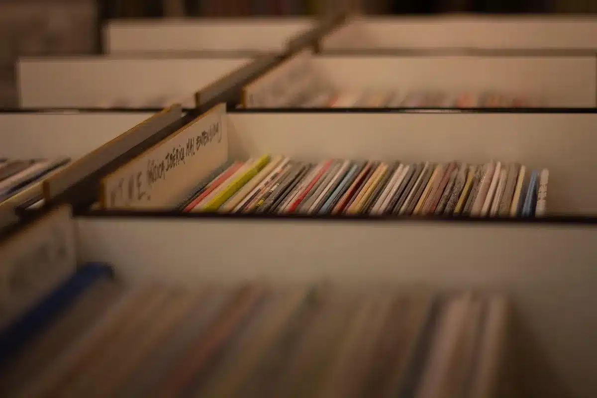 Collectors examining vinyl records and physical media in a record shop setting