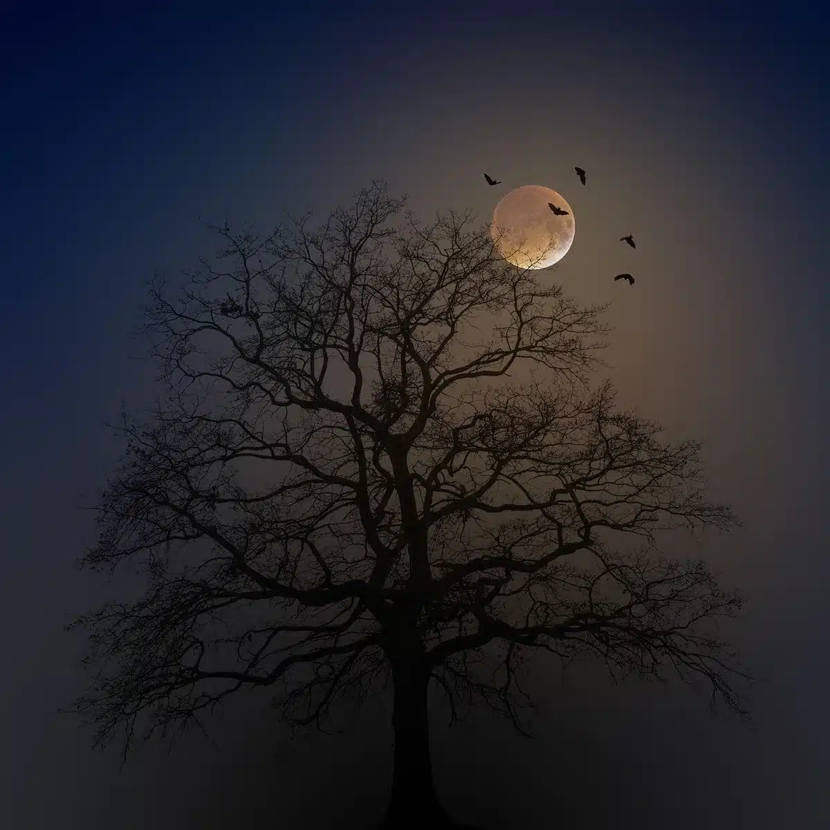 A silhouette of a person looking out at a night sky with stars and a crescent moon, symbolizing inner reflection and cosmic awakening
