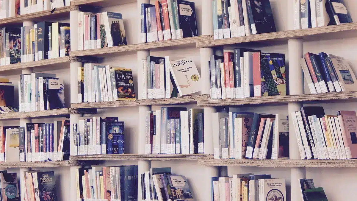An anonymous patron silhouette browsing shelves in a public library comics section, spines visible but titles unreadable